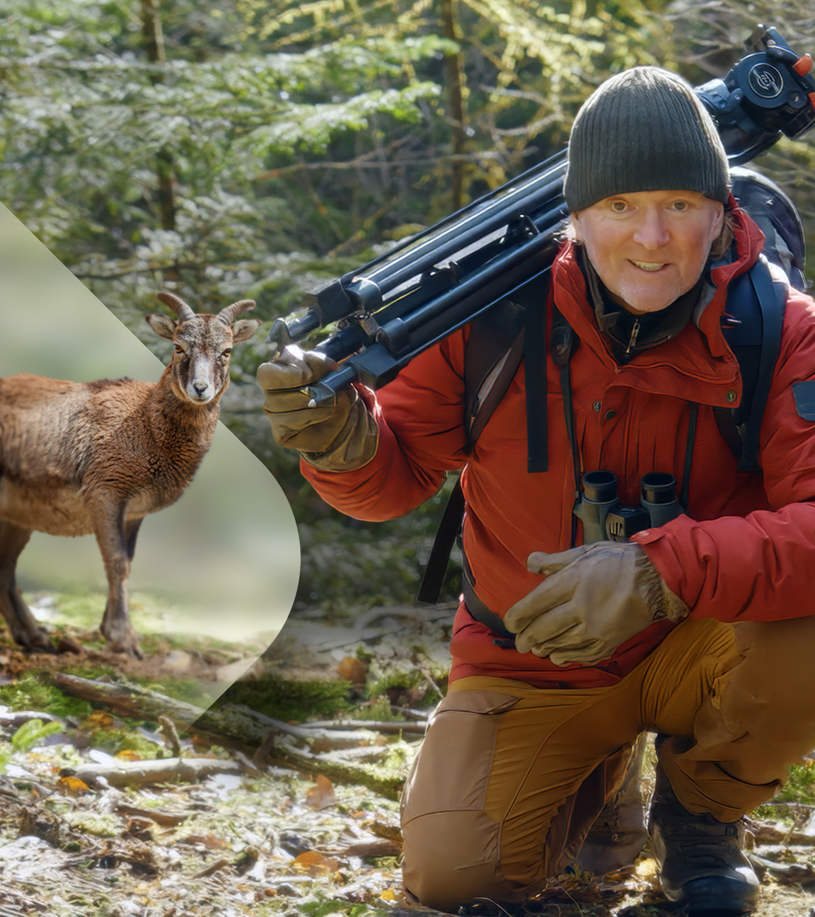 Tierfilmer Andreas Kieling mit Gams (Montage)