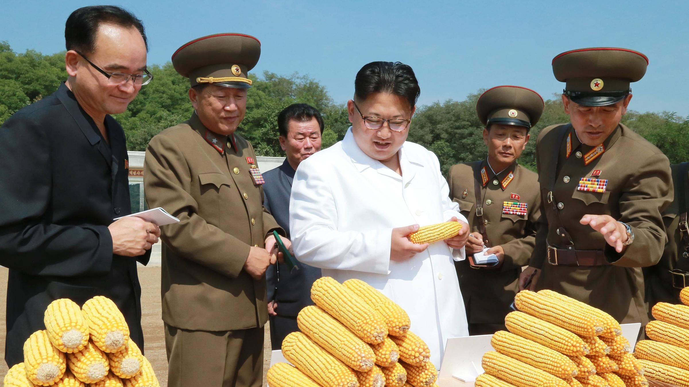 Kim Jong-un beim Besuch einer Farm - 2016