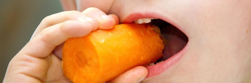 Kind beißt in eine Karotte