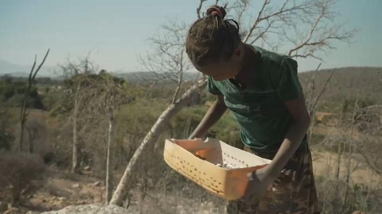 Kidnerarbeit auf Madagaskar