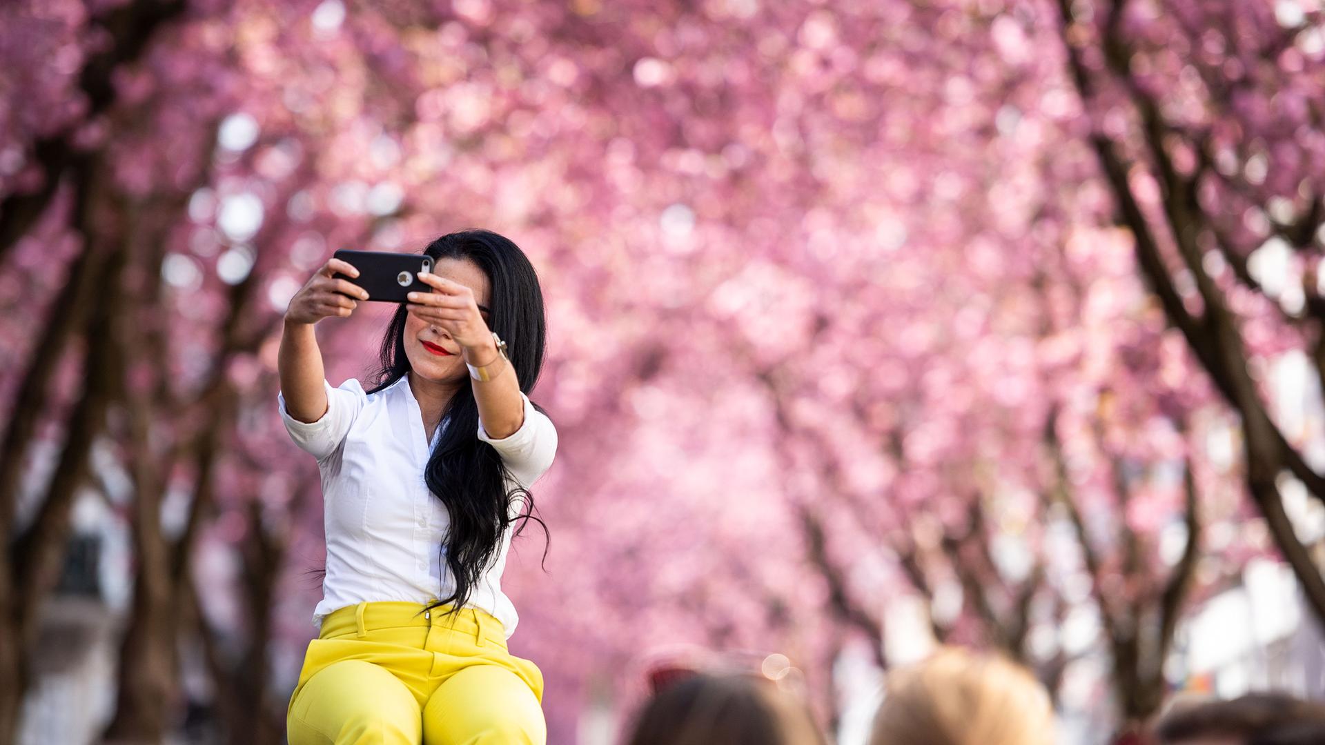 Eine junge Frau fotografiert sich mit den blühenden Kirschbäumen in der Bonner Heerstraße, 07.04.19