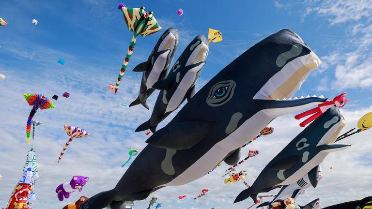 World Kite Cup fasziniert Tausende Zuschauer