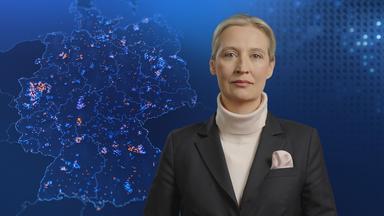 Klartext Weidel