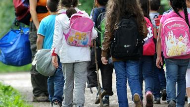 Schulkinder machen einen Ausflug in den Wald. 