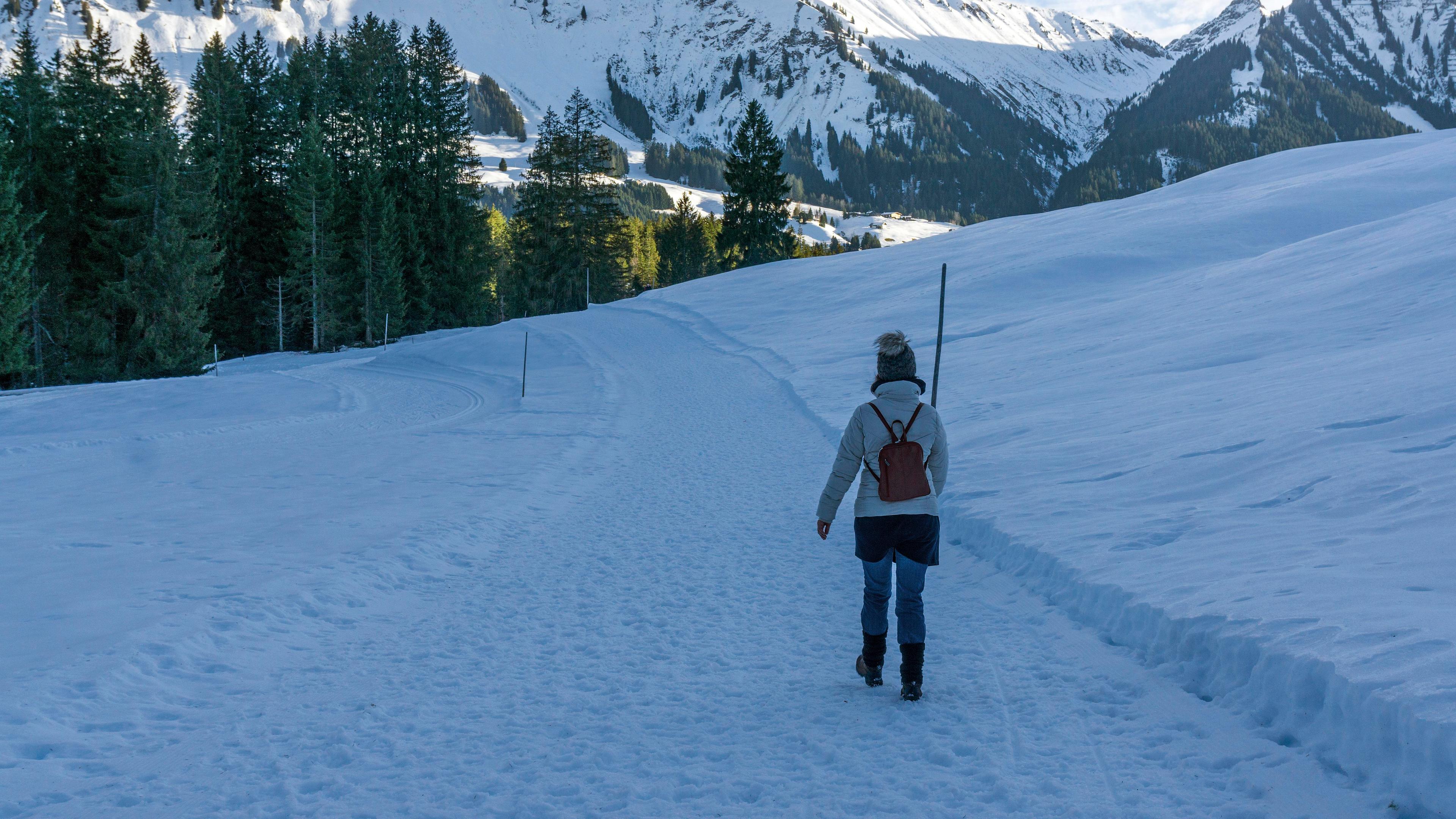 Kleinwalsertal