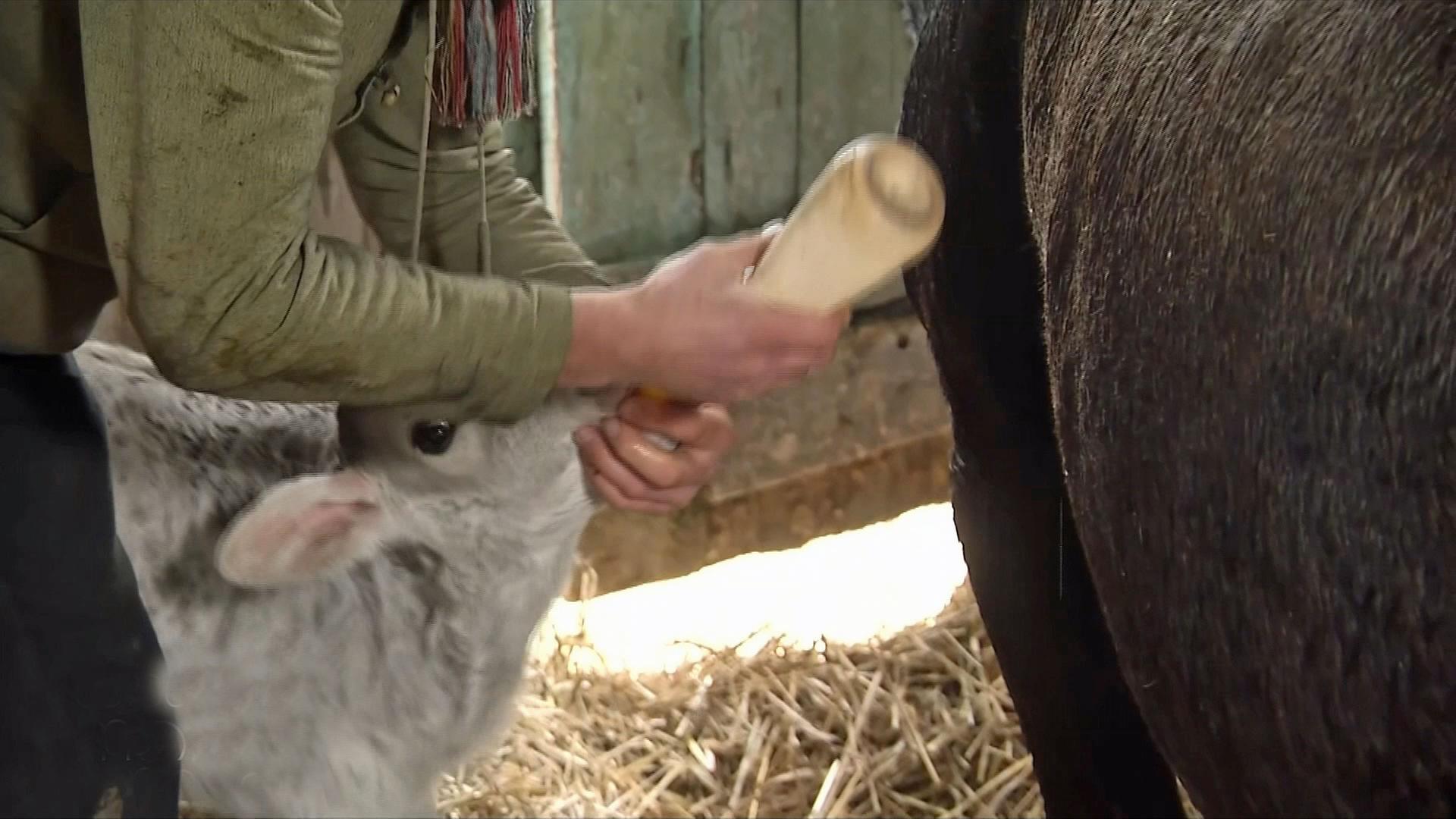 Landwirtschaft