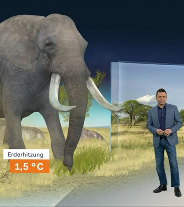 Özden Terli, Elefant, Bienen,Label Erwärmung