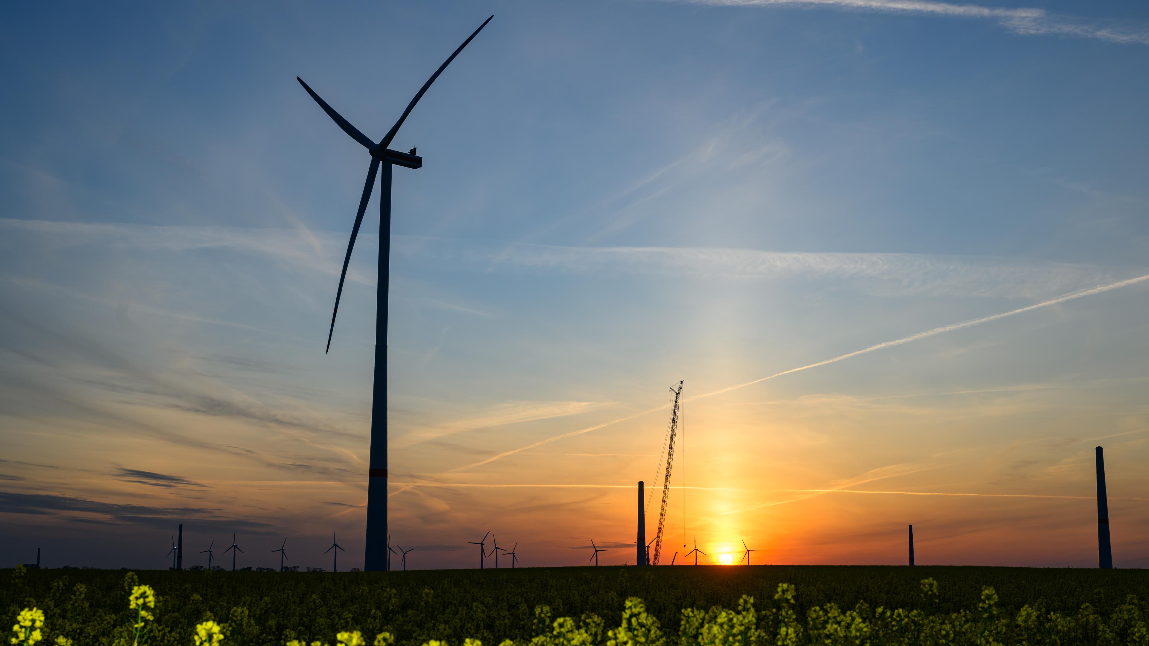 29.04.2025, Brandenburg, Lebus: Der Sonnenaufgang leuchtet über der Landschaft mit Windenergieanlagen und einem Kran auf einer Baustelle für ein neues Windrad.