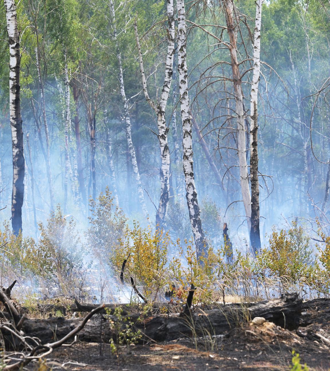 Klimabericht: Fast ganz Europa erlebt 2025 Extremwetter
