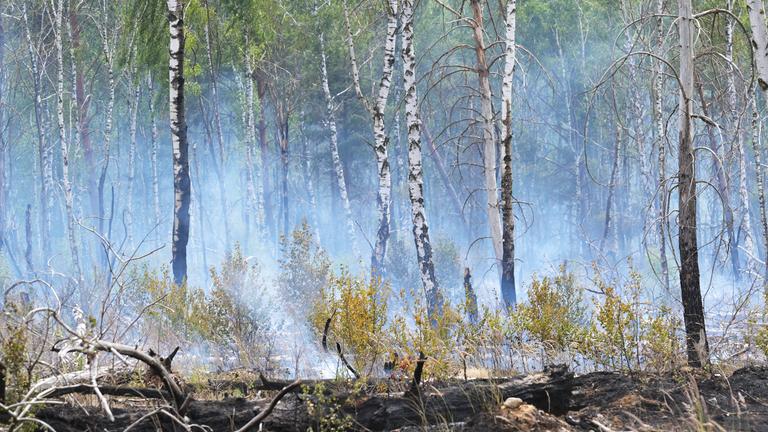 Klimabericht: Fast ganz Europa erlebt 2025 Extremwetter