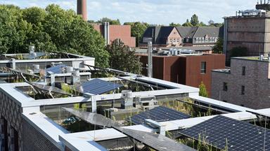 Typical: Klimafreundlicher Neubau