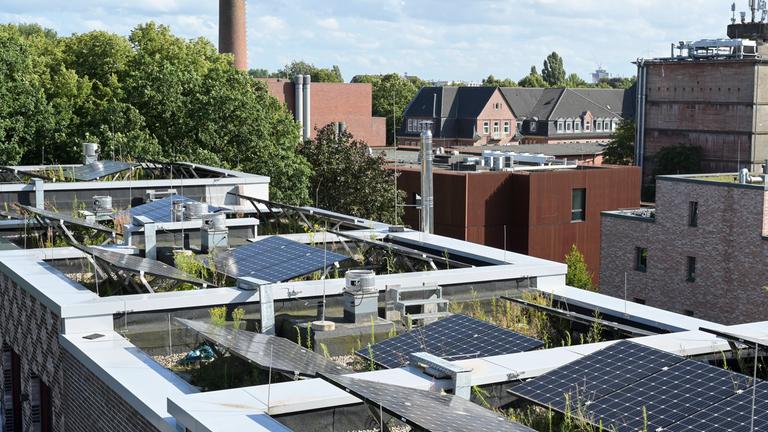 Typical: Klimafreundlicher Neubau