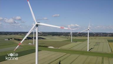 Windräder auf einem Feld