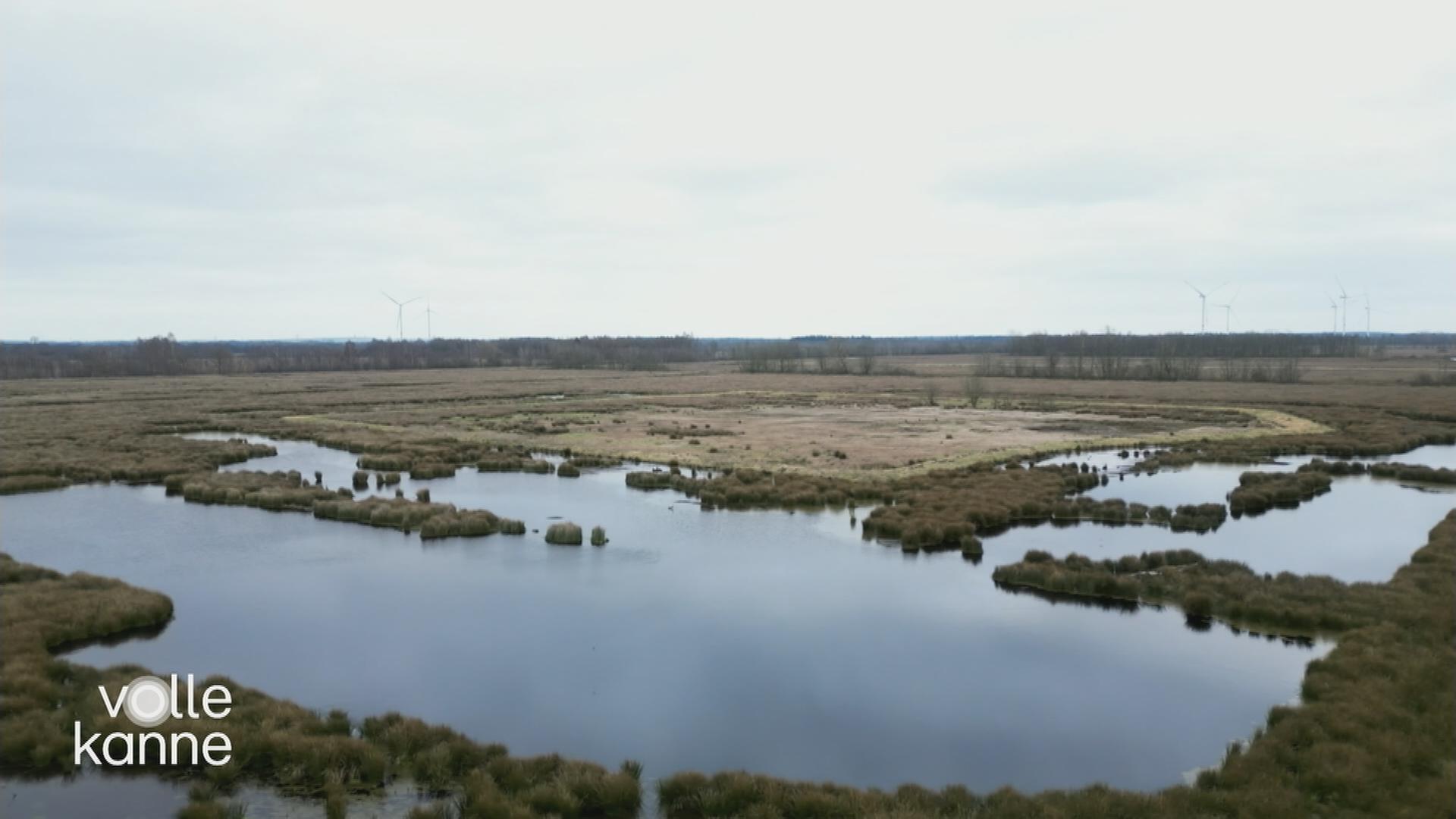 Moor-Landschaft