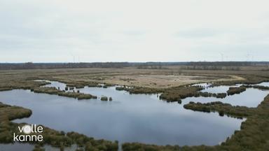 Moor-Landschaft
