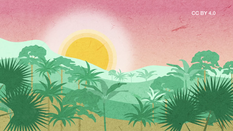 Klimatische Funktion Regenwald CC