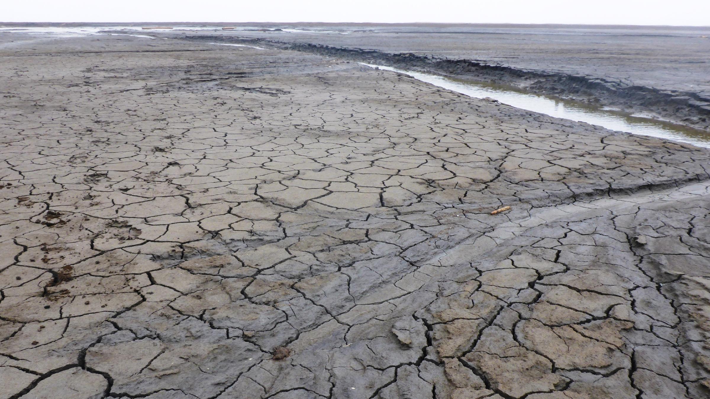 Durch diesen Graben ist dieser ehemalige  Thermokarstsee in der Nähe von Cape Halkett, 40 Tage vor dieser Aufnahme ausgelaufen. (North Slope Alaska) 