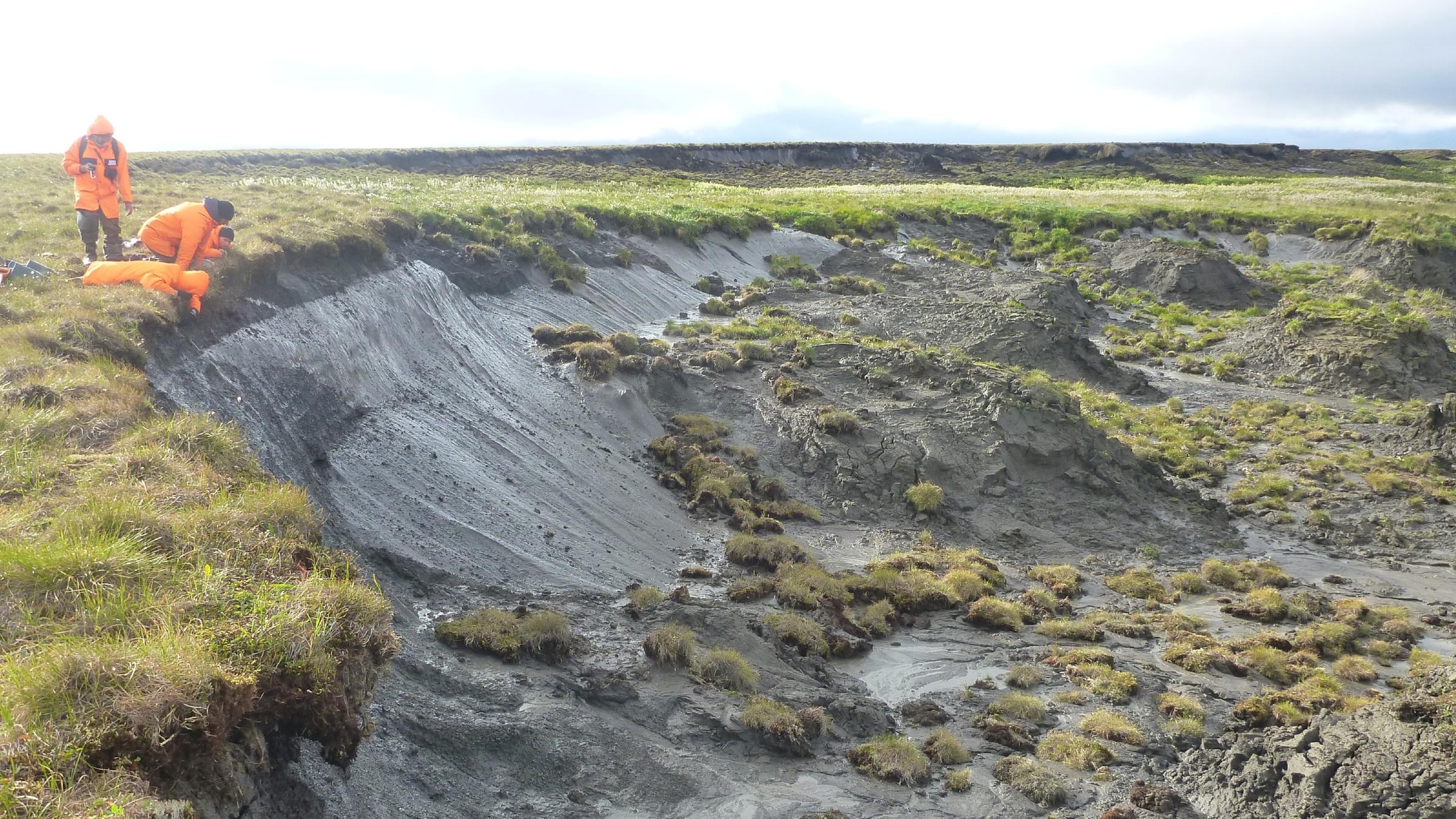 AWI-Permafrostforscher untersuchen die erodierende Permafrost-Küste auf der sibirischen Bykovsky-Halbinsel.