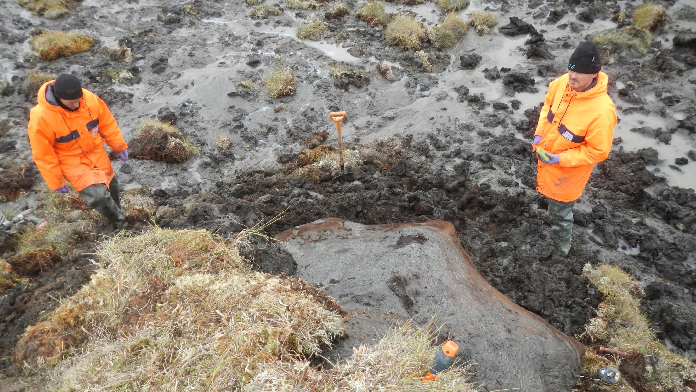 AWI-Permafrostexperte Dr. Guido Grosse (rechts) und sein Kollege Matthias Fuchs untersuchen Thermokarst-Erhebungen auf der sibirischen Halbinsel Bykovsky.