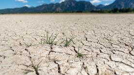 Suelo agrietado y seco, Forggensee sin agua en primavera