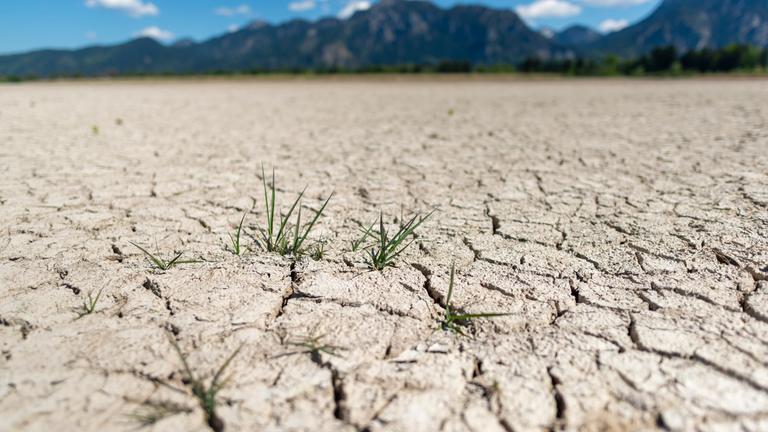 Rissiger, ausgetrockneter Boden, wasserloser Forggensee im Frühling