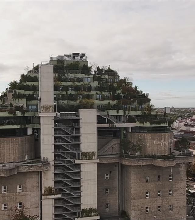 Grüner Bunker in Hamburg
