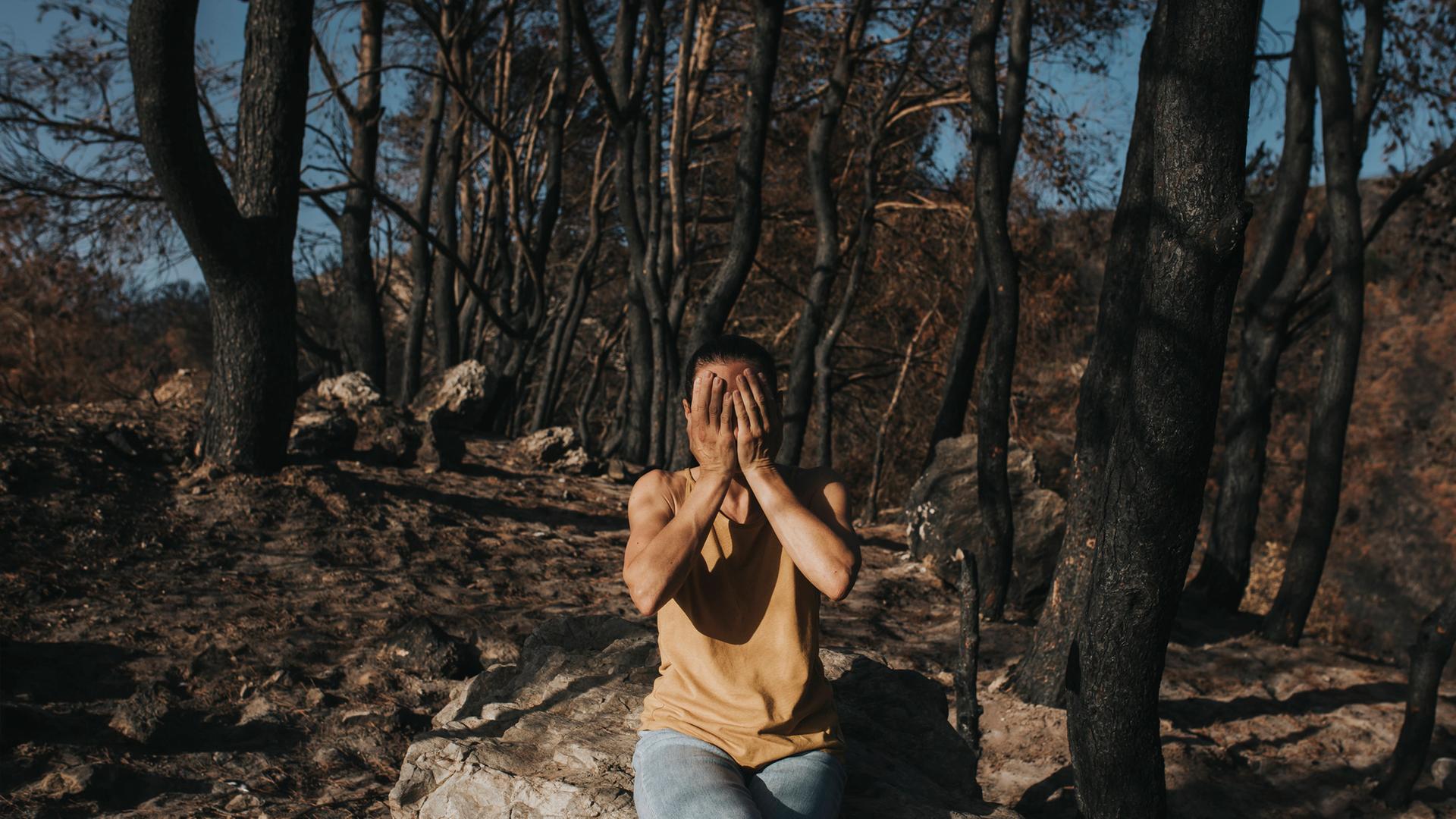 Symboilbild: Eine verzweifelte Frau, die ihr Gesicht verdeckt und auf einem Felsen in einem verbrannten Wald sitzt,
