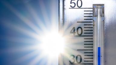 Brandenburg, Frankfurt (Oder): 36 Grad Celsius zeigt ein Thermometer vor der Nachmittagssonne an.