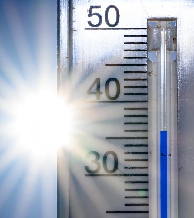 Brandenburg, Frankfurt (Oder): 36 Grad Celsius zeigt ein Thermometer vor der Nachmittagssonne an.