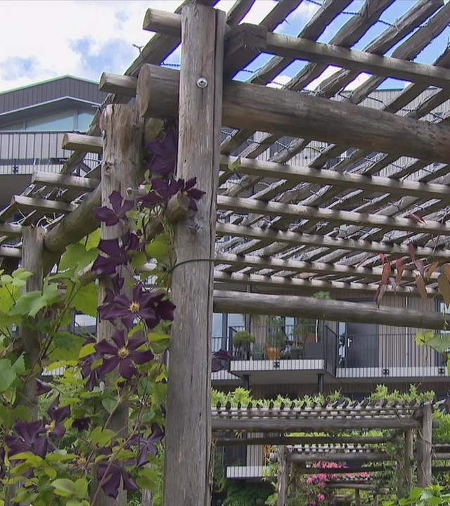 Senioren leben auf einem "Knarrenhof" in den Niederlanden