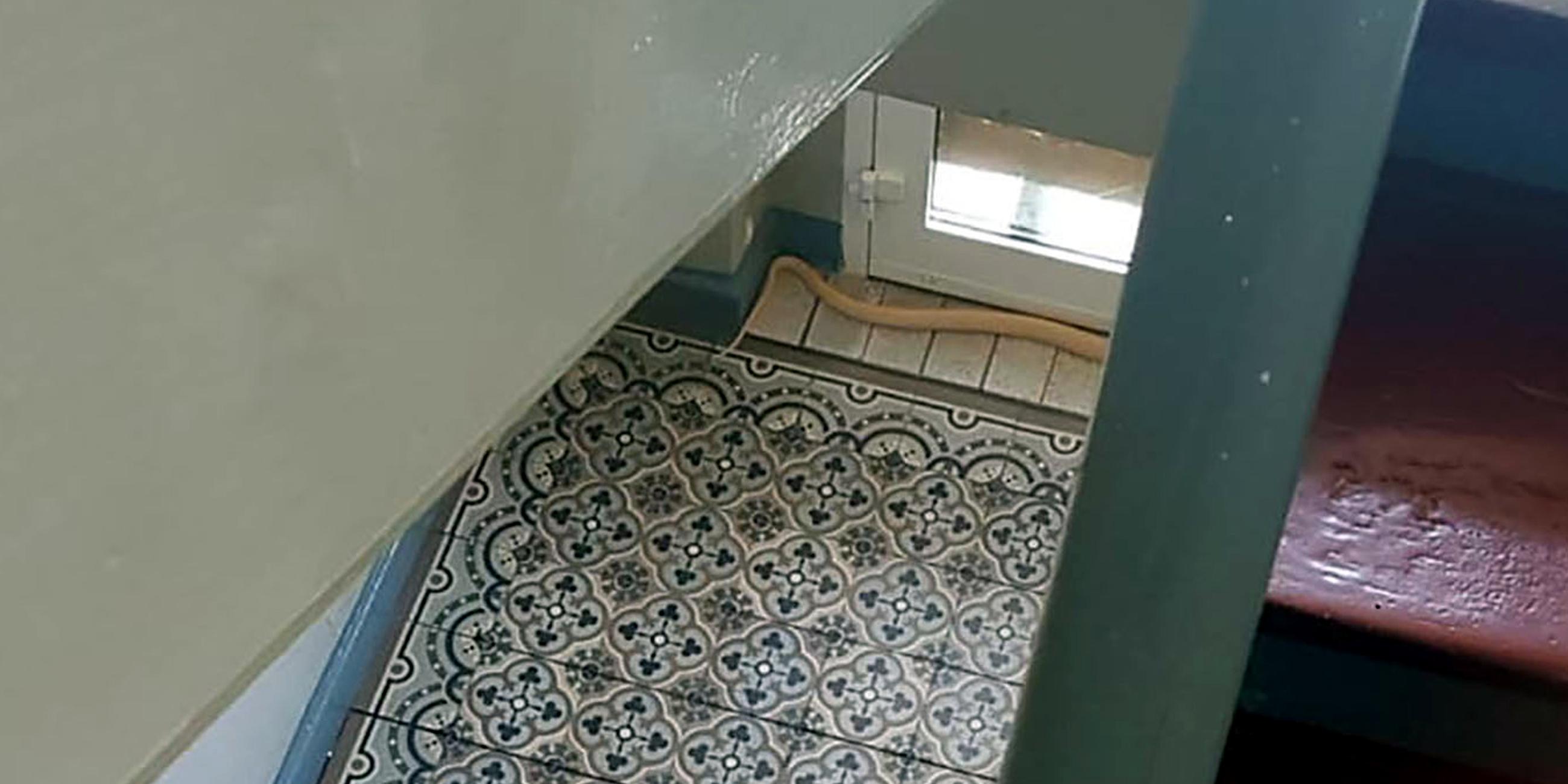 Entwischte Kobra in Herne am 28.08.2019