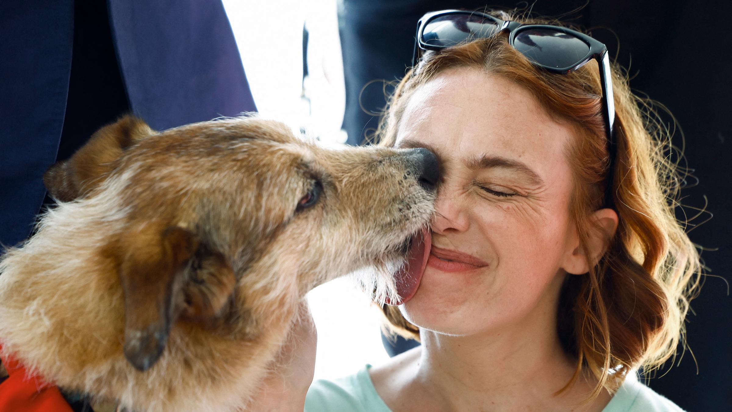 Filmhund Kodi mit Regisseurin Laetitia Dosch