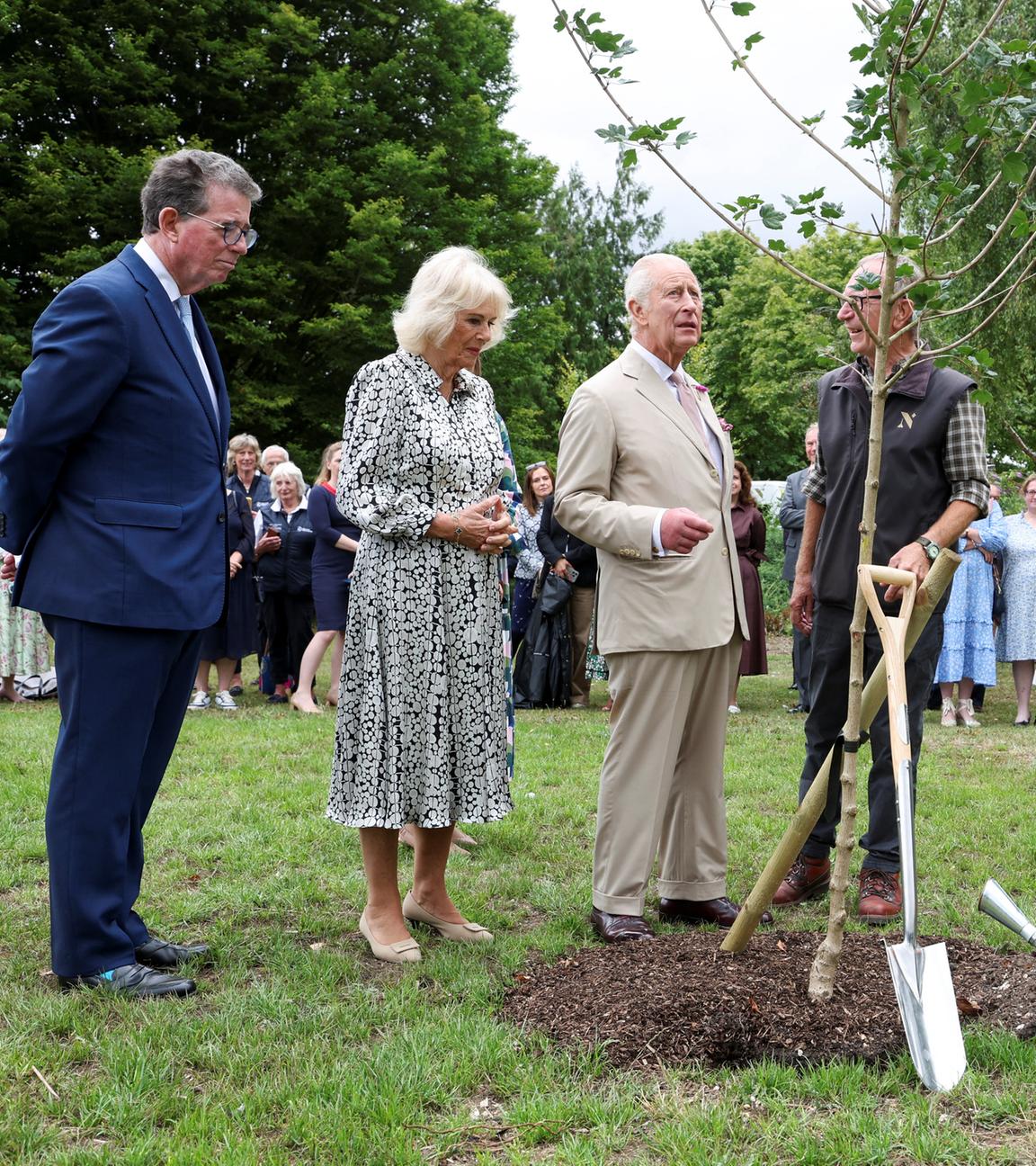 König Charles pflanzt einen Baum