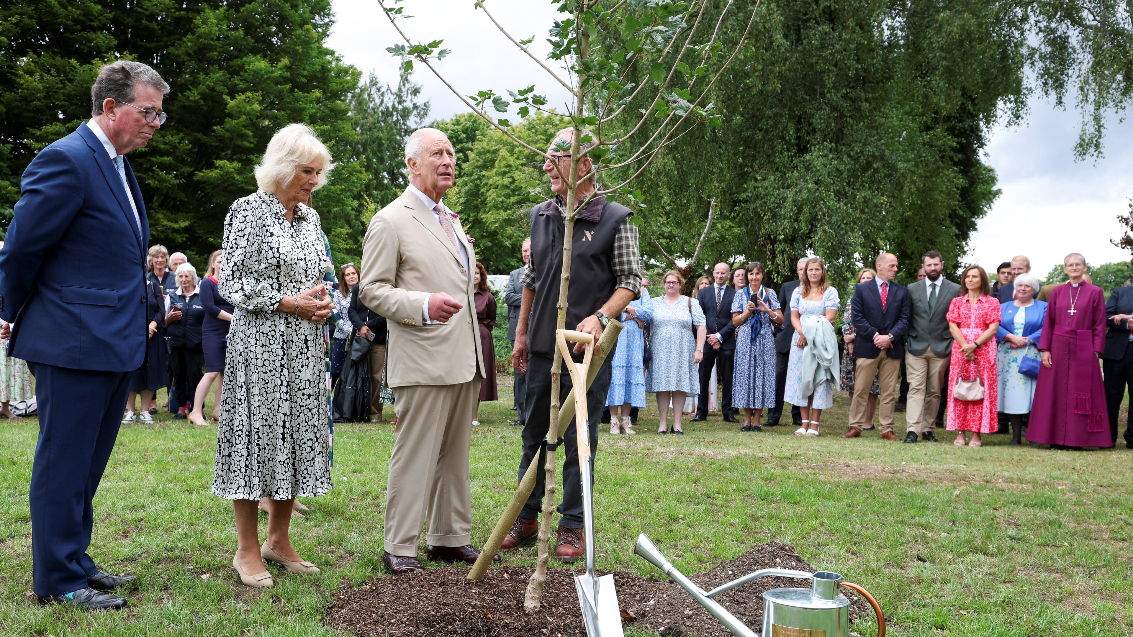 König Charles pflanzt einen Baum