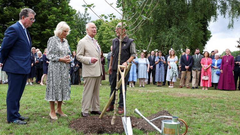 König Charles pflanzt einen Baum