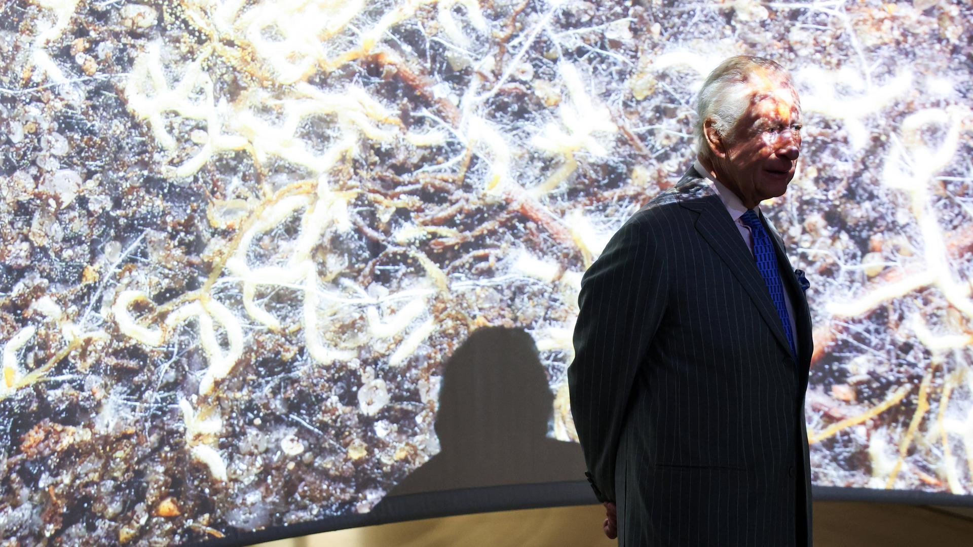 Nebenwirkung von Krebstherapie: Charles kurzzeitig in Klinik 