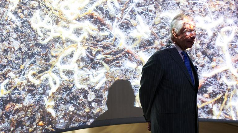 Nebenwirkung von Krebstherapie: Charles kurzzeitig in Klinik 