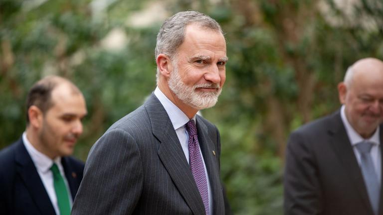 König Felipe VI. von Spanien