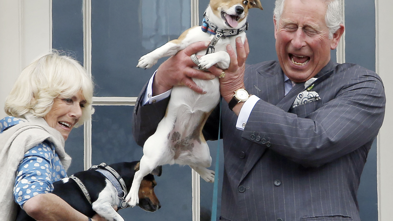 Königin Camilla und König Charles mit ihren Hunden