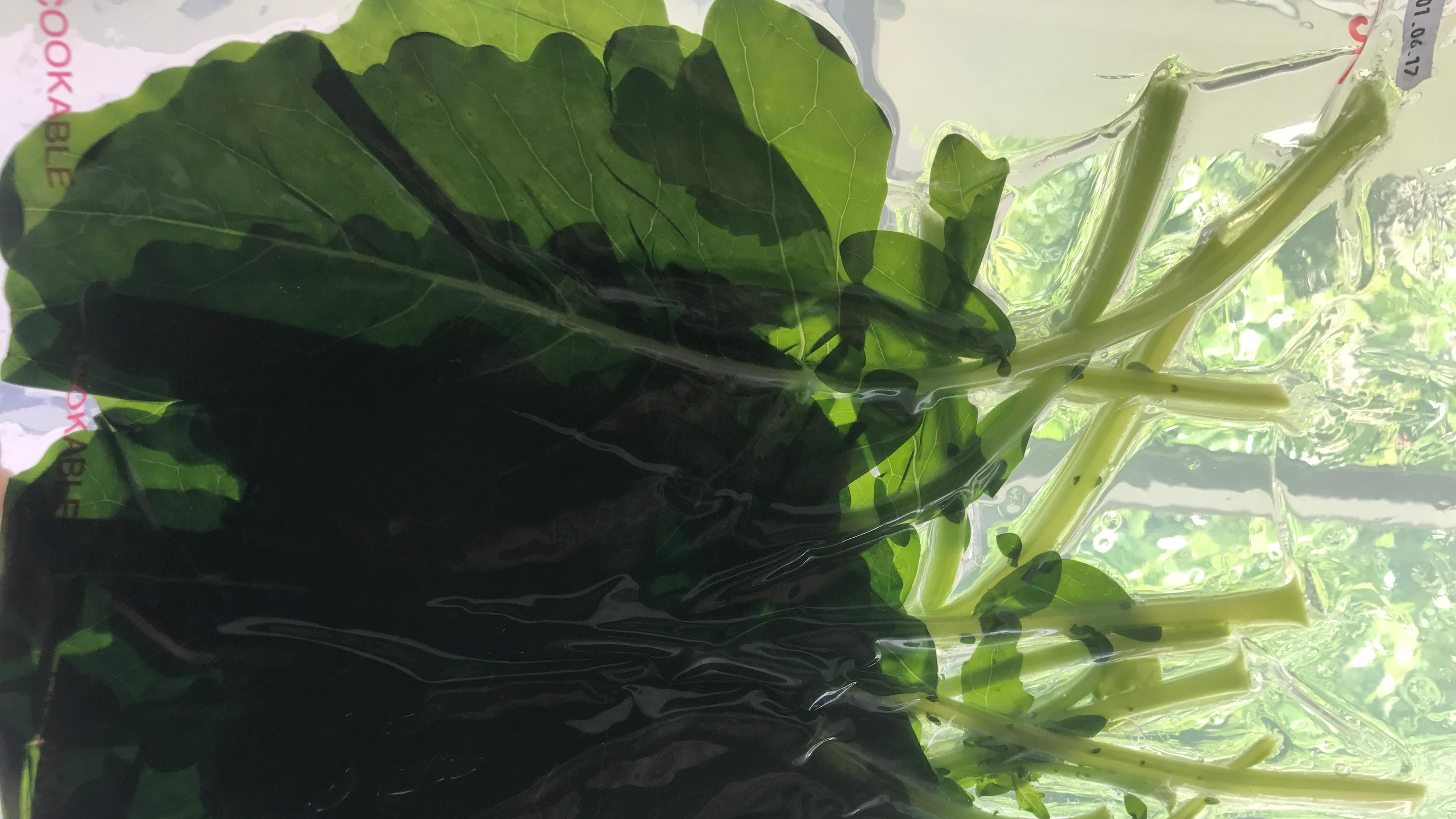 Vakuumierte Kohlrabiblätter