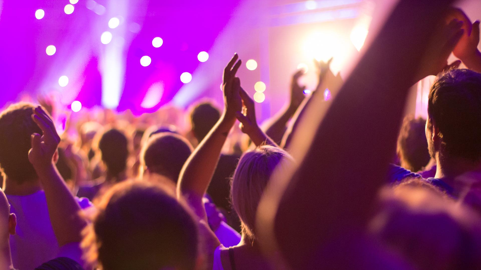 Ein Publikum bei einem Konzert