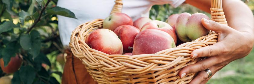 Korb mit Äpfeln