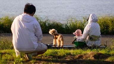 Ehepaar mit Hund und Kind in Seoul, Südkorea