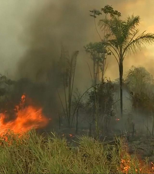 Waldbrand