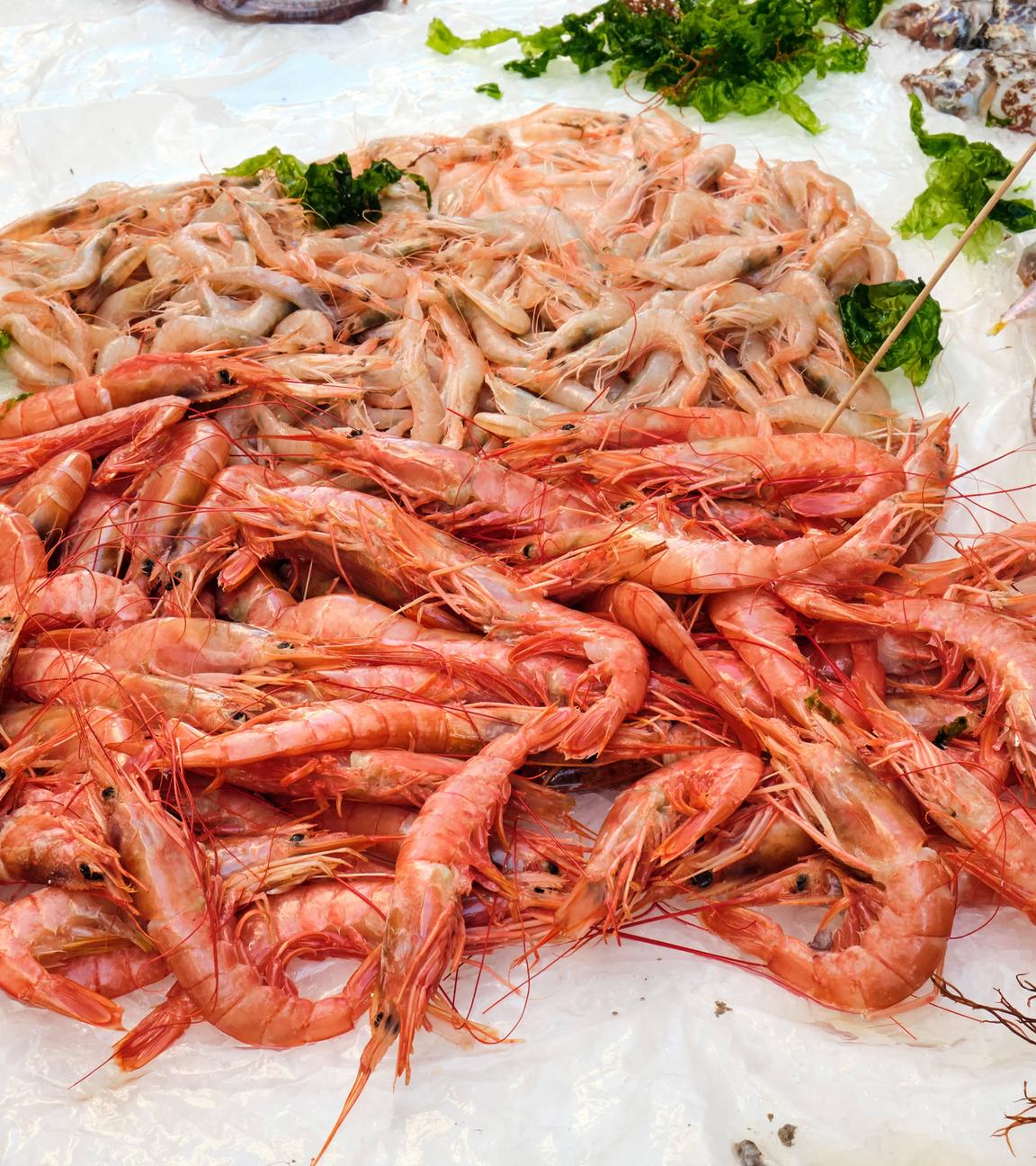 Rezepte mit Krabben und Garnelen