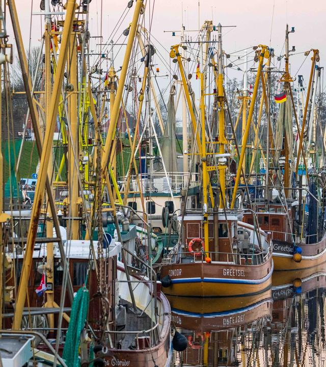 Krabbenkutter liegen im Hafen.