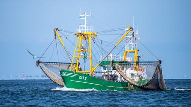 Ein Krabbenkutter in der Nordsee
