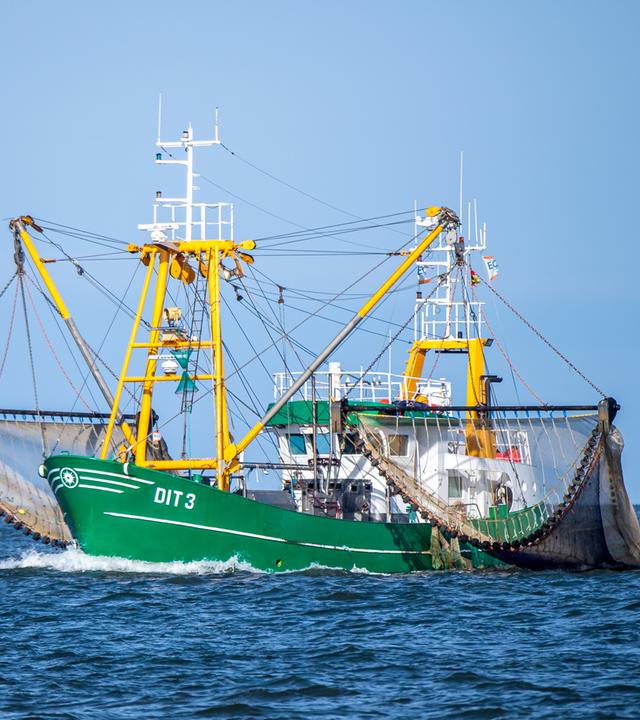 Ein Krabbenkutter in der Nordsee