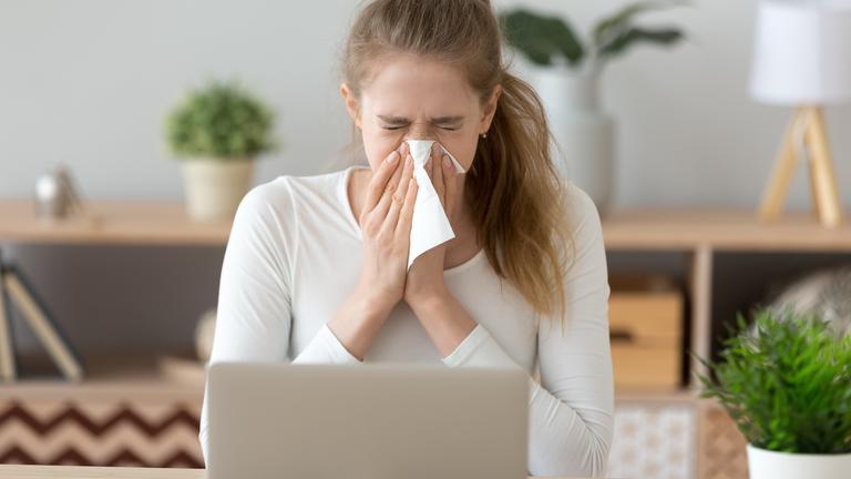 Eine Frau sitzt vor ihrem Laptop am Esstisch und schnäuzt sich in ein Taschentuch.