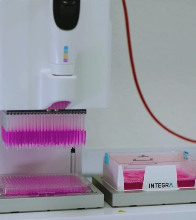 Krebeszellentherapie